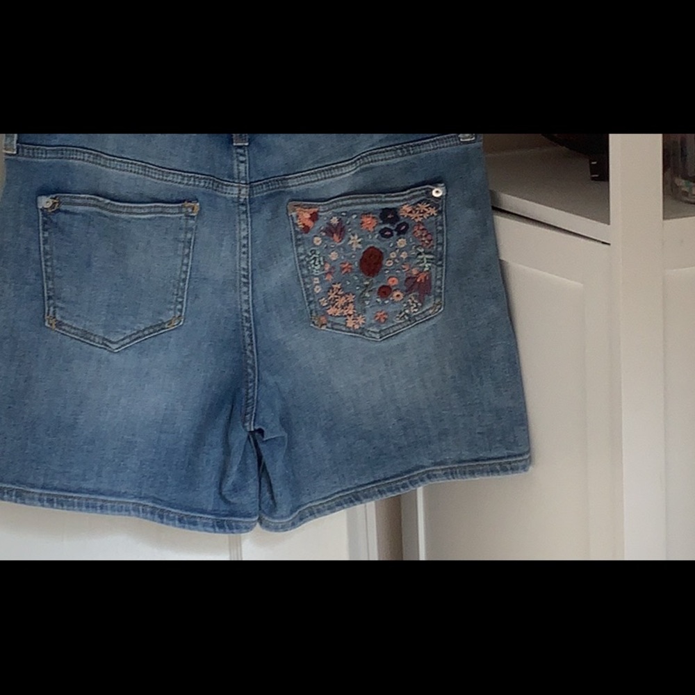 Pilcro and the Letterpress - Jean Shorts, size 29/8; style Slim Boyfriend